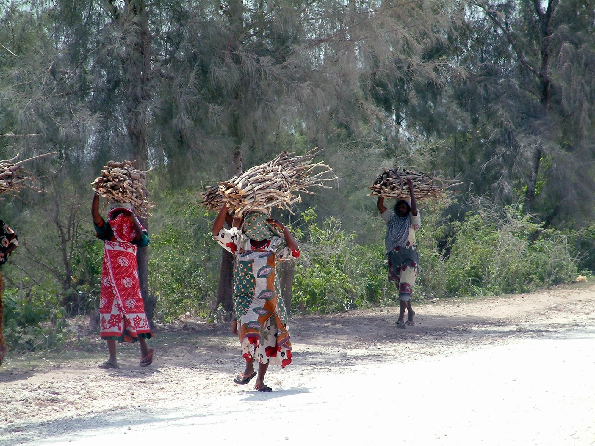 20040129   Zanzibar 196